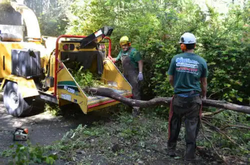 tree services Peotone